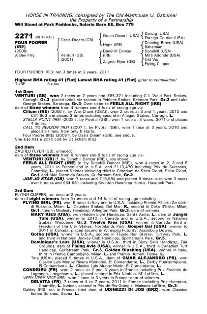 December Mare Sale - Tattersalls