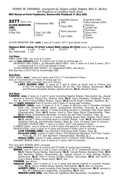 December Mare Sale - Tattersalls