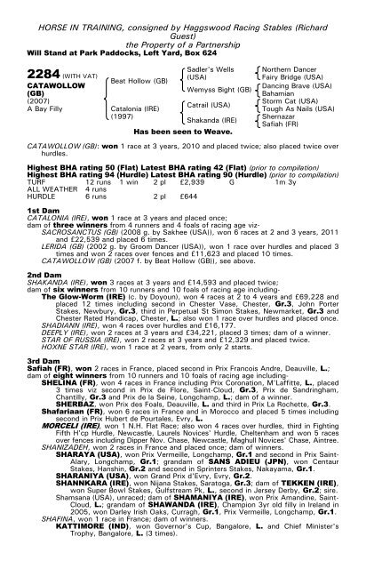 December Mare Sale - Tattersalls