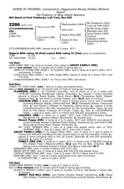 December Mare Sale - Tattersalls