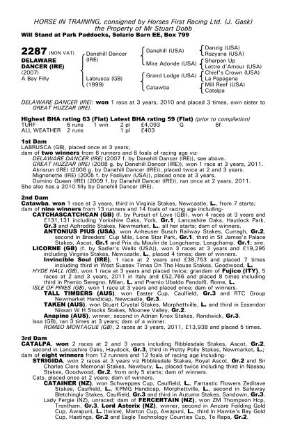 December Mare Sale - Tattersalls