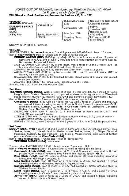 December Mare Sale - Tattersalls