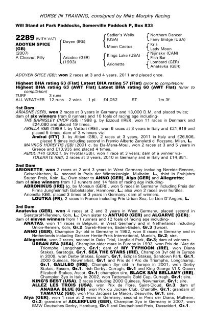 December Mare Sale - Tattersalls