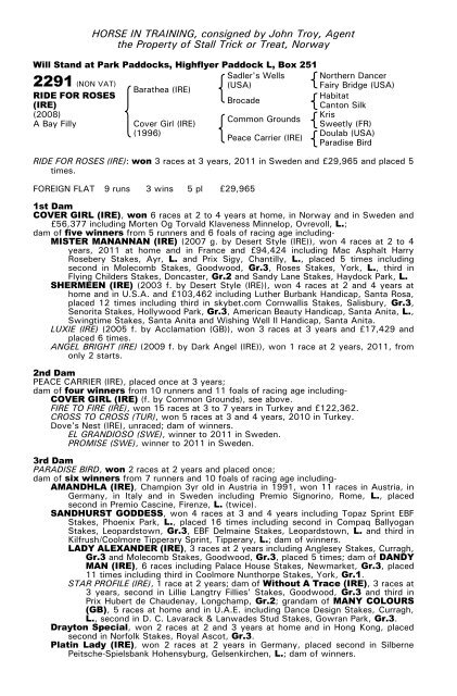 December Mare Sale - Tattersalls