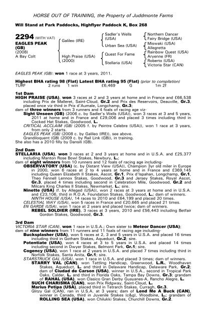 December Mare Sale - Tattersalls