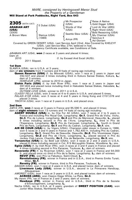 December Mare Sale - Tattersalls