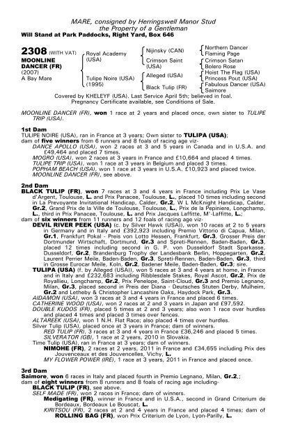 December Mare Sale - Tattersalls