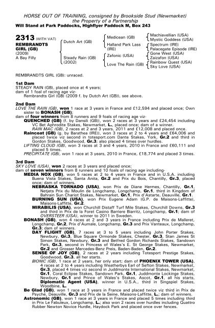 December Mare Sale - Tattersalls