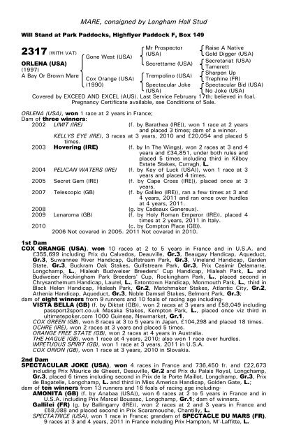 December Mare Sale - Tattersalls