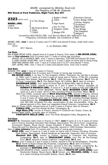 December Mare Sale - Tattersalls