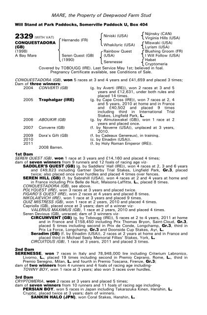 December Mare Sale - Tattersalls