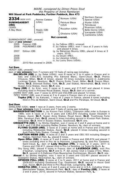 December Mare Sale - Tattersalls