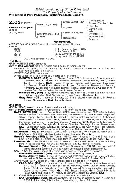 December Mare Sale - Tattersalls