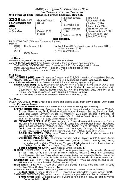 December Mare Sale - Tattersalls