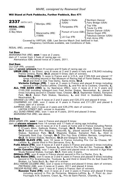 December Mare Sale - Tattersalls