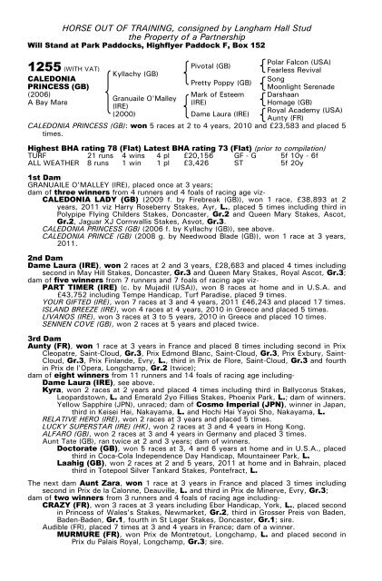 December Mare Sale - Tattersalls