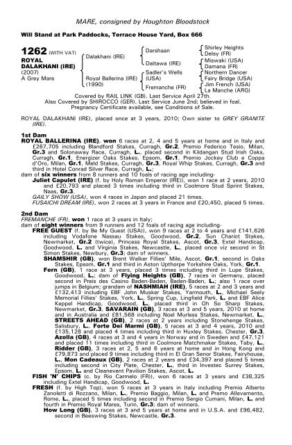 December Mare Sale - Tattersalls