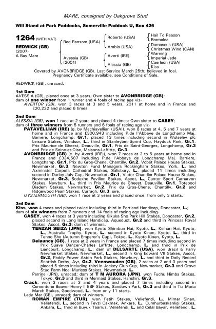 December Mare Sale - Tattersalls