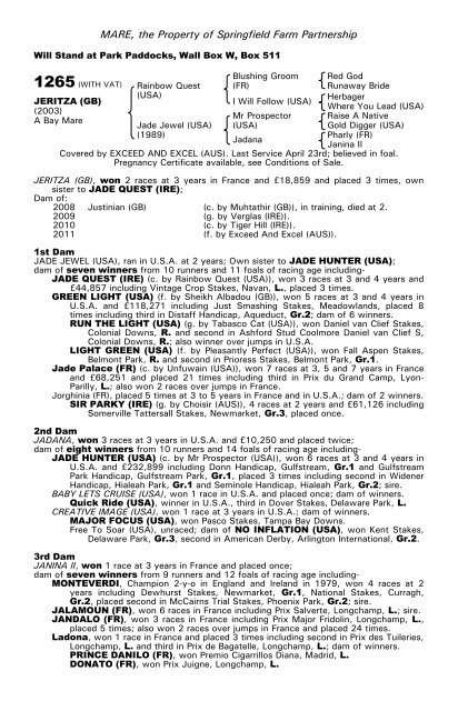 December Mare Sale - Tattersalls