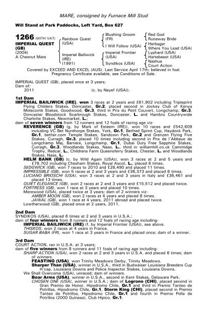 December Mare Sale - Tattersalls