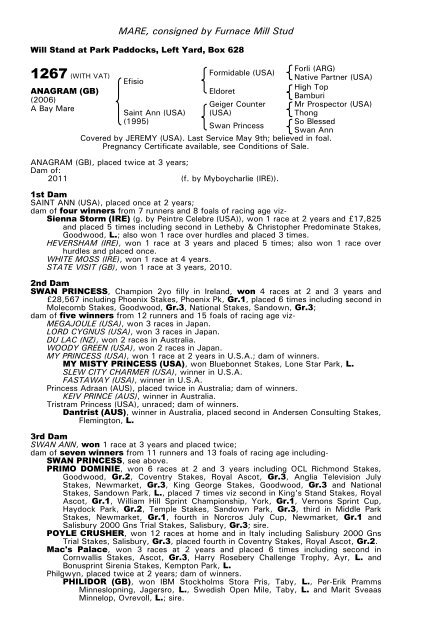 December Mare Sale - Tattersalls