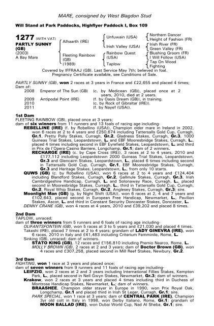 December Mare Sale - Tattersalls