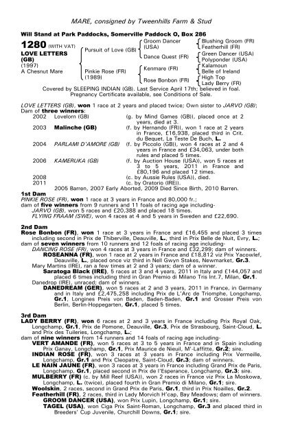 December Mare Sale - Tattersalls