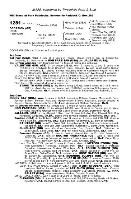 December Mare Sale - Tattersalls