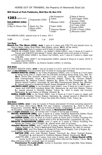 December Mare Sale - Tattersalls