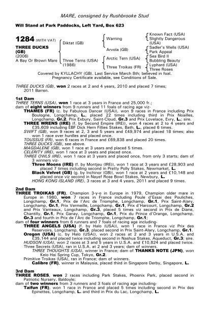 December Mare Sale - Tattersalls