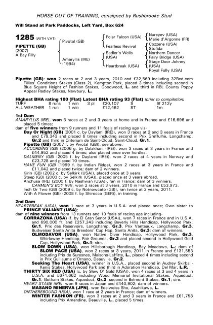 December Mare Sale - Tattersalls