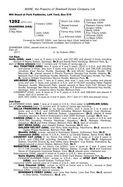 December Mare Sale - Tattersalls