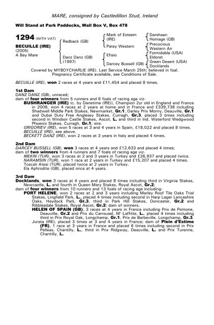 December Mare Sale - Tattersalls