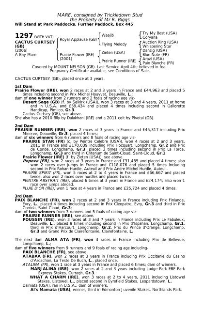 December Mare Sale - Tattersalls