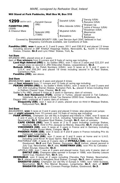 December Mare Sale - Tattersalls