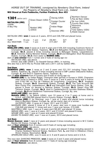 December Mare Sale - Tattersalls