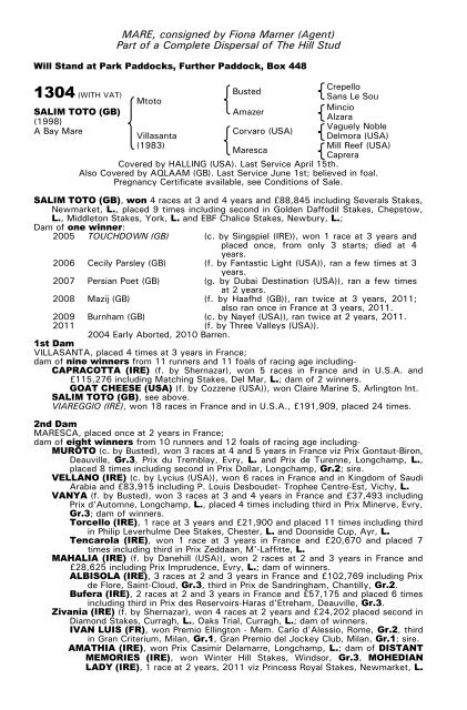 December Mare Sale - Tattersalls