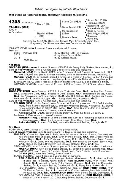 December Mare Sale - Tattersalls