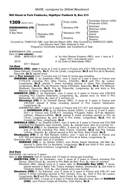 December Mare Sale - Tattersalls