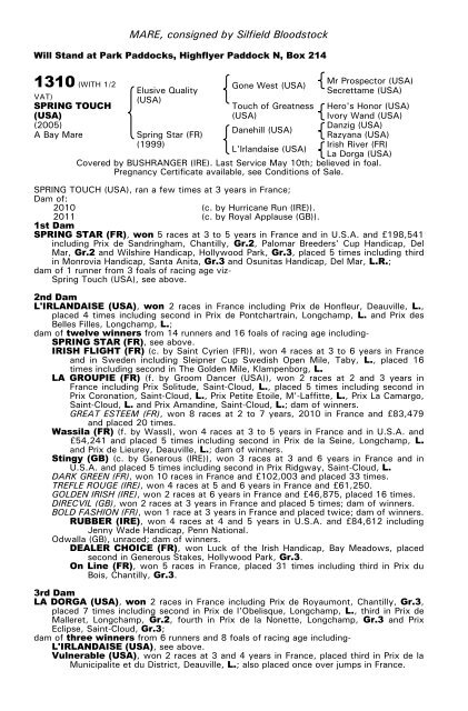 December Mare Sale - Tattersalls