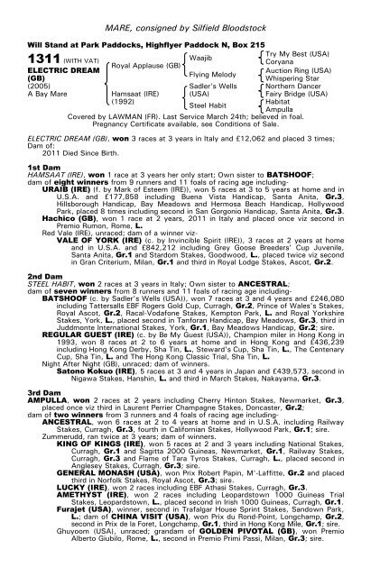 December Mare Sale - Tattersalls