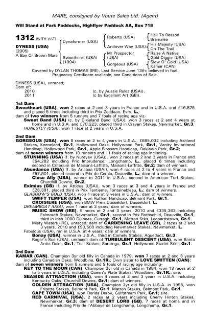 December Mare Sale - Tattersalls