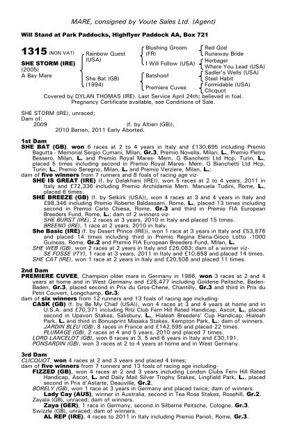 December Mare Sale - Tattersalls