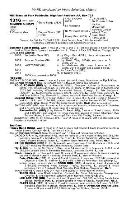 December Mare Sale - Tattersalls