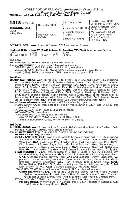 December Mare Sale - Tattersalls