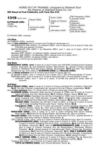 December Mare Sale - Tattersalls