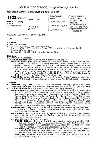 December Mare Sale - Tattersalls