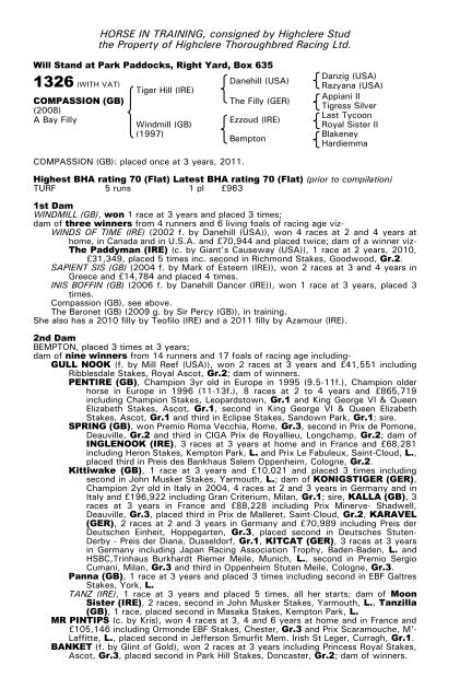 December Mare Sale - Tattersalls