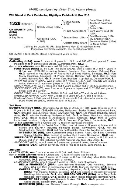 December Mare Sale - Tattersalls