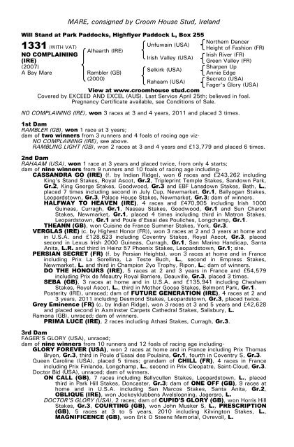 December Mare Sale - Tattersalls